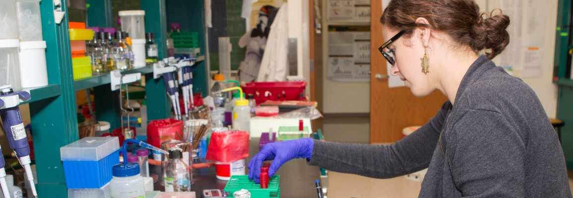 Student in biology laboratory placing sample vials in rack