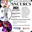 SNCURCS 2021 (State of NC Undergraduate Research and Creativity Symposium) Call for Abstracts